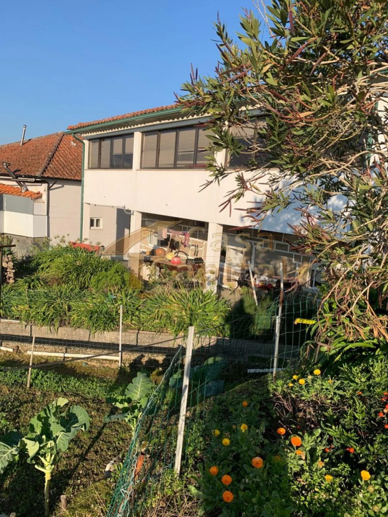 Moradia T3 para Venda em Folhadela Foto 15