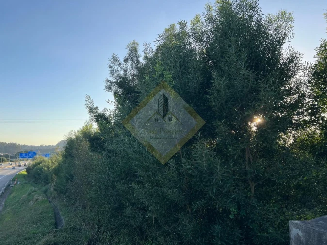 Terreno para Venda em Vilar de Andorinho Foto 8