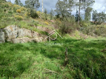 Terreno para Venda em Sarzedas