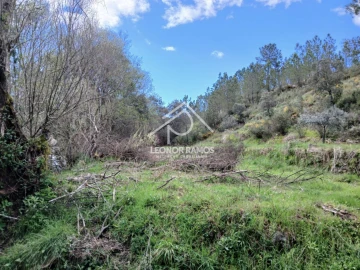 Terreno para Venda em Sarzedas