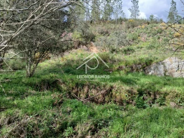 Terreno para Venda em Sarzedas