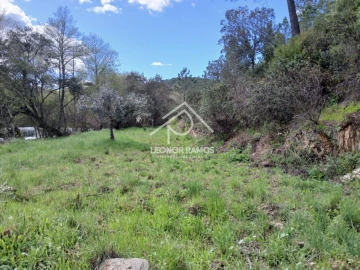 Terreno para Venda em Sarzedas