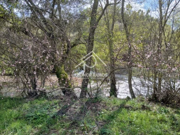 Terreno para Venda em Sarzedas