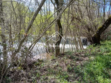 Terreno para Venda em Sarzedas
