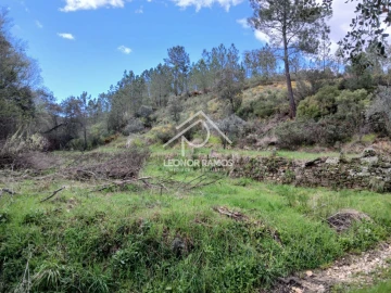 Terreno para Venda em Sarzedas