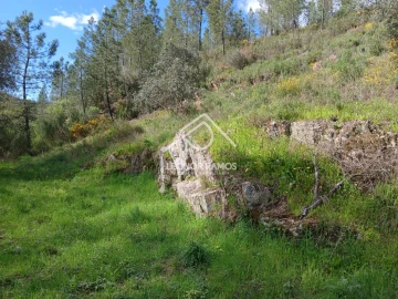 Terreno para Venda em Sarzedas