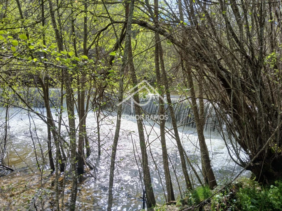Terreno para Venda em Sarzedas Foto 26