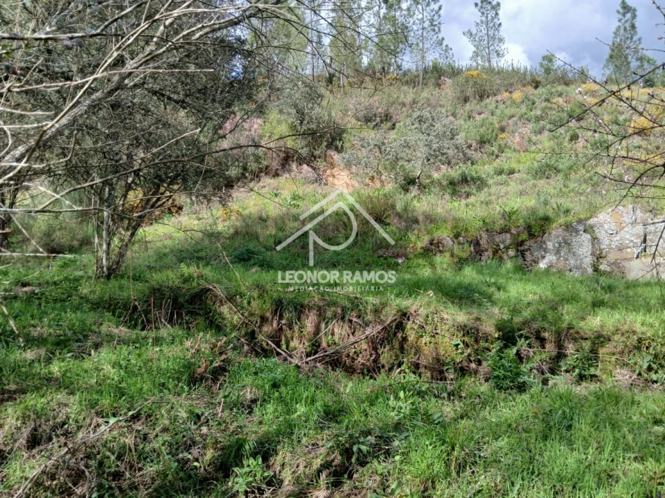 Terreno para Venda em Sarzedas Foto 18