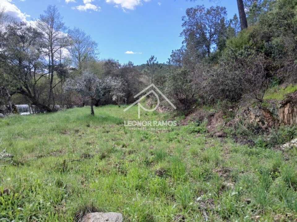 Terreno para Venda em Sarzedas Foto 5