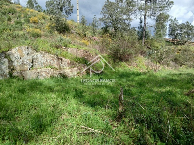 Terreno para Venda em Sarzedas Foto 28