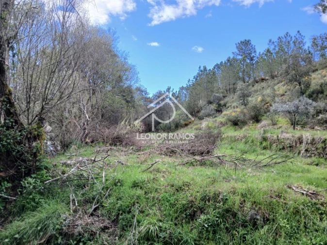 Terreno para Venda em Sarzedas Foto 7