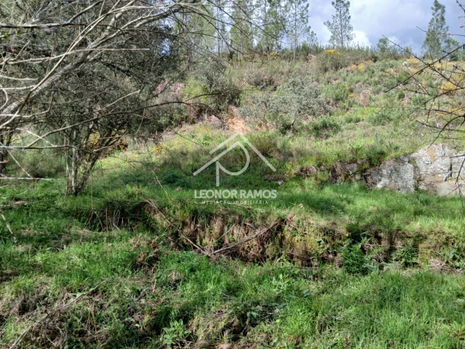 Terreno para Venda em Sarzedas Foto 18