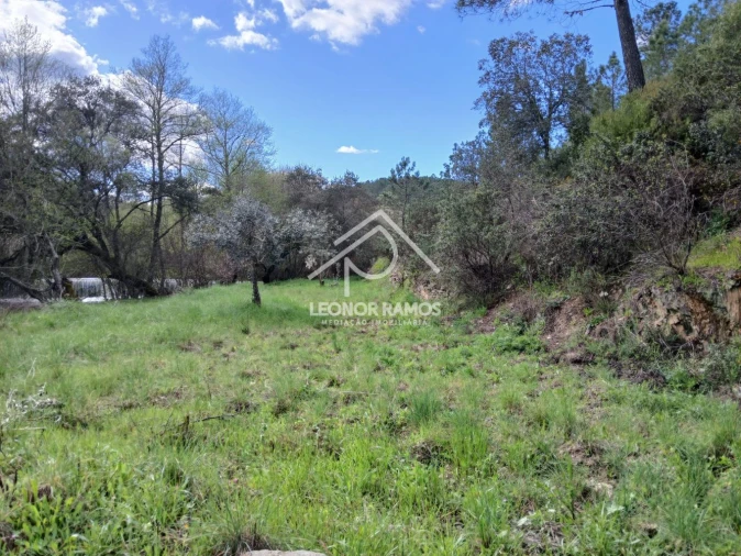 Terreno para Venda em Sarzedas Foto 4