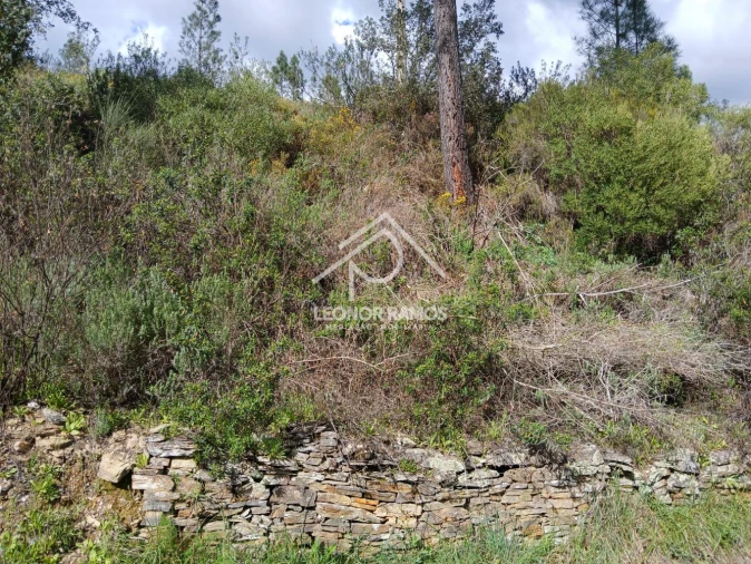 Terreno para Venda em Sarzedas Foto 11