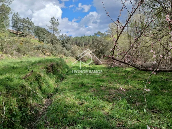 Terreno para Venda em Sarzedas Foto 27