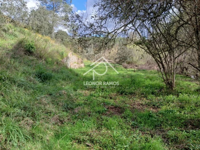 Terreno para Venda em Sarzedas Foto 16