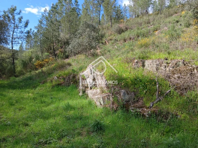 Terreno para Venda em Sarzedas Foto 14