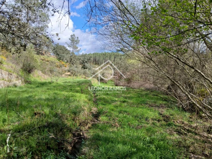 Terreno para Venda em Sarzedas Foto 25