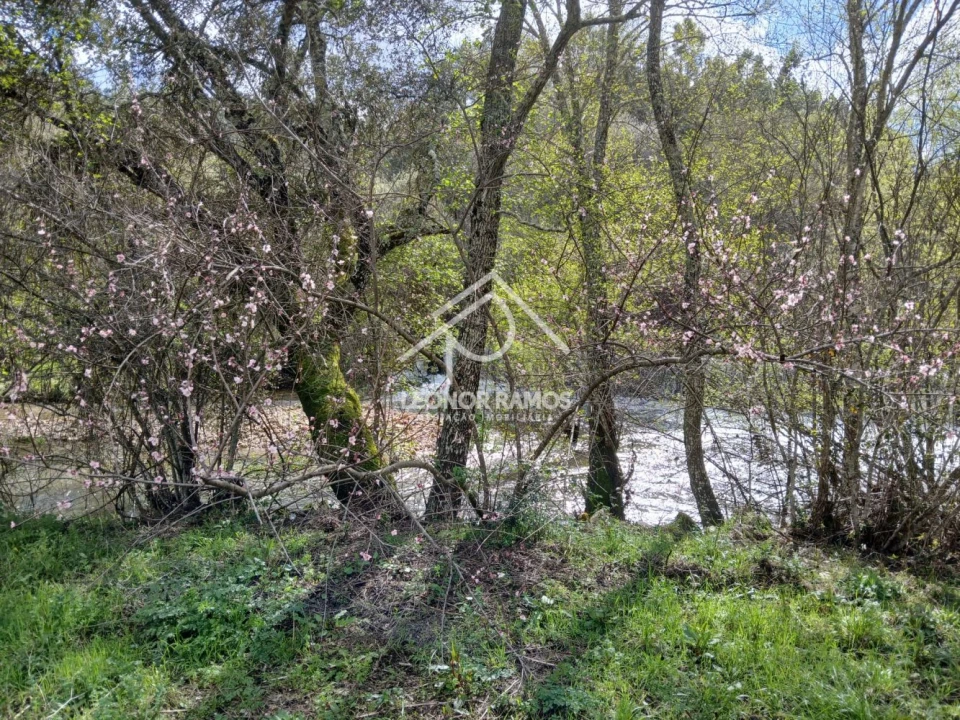 Terreno para Venda em Sarzedas Foto 24
