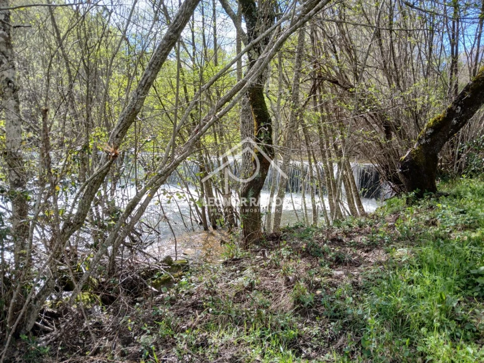 Terreno para Venda em Sarzedas Foto 23
