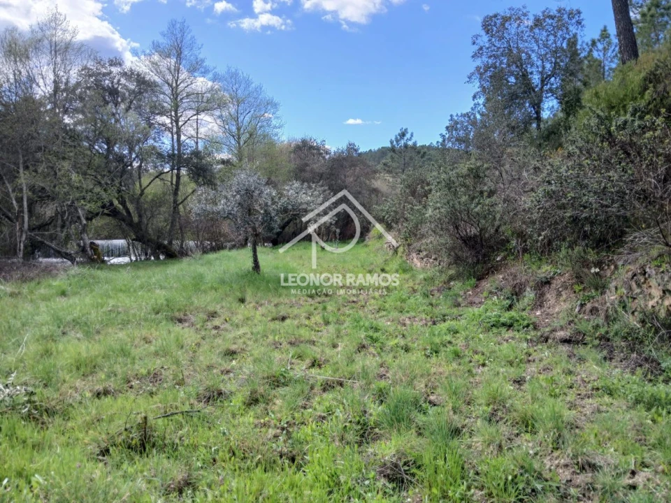 Terreno para Venda em Sarzedas Foto 6