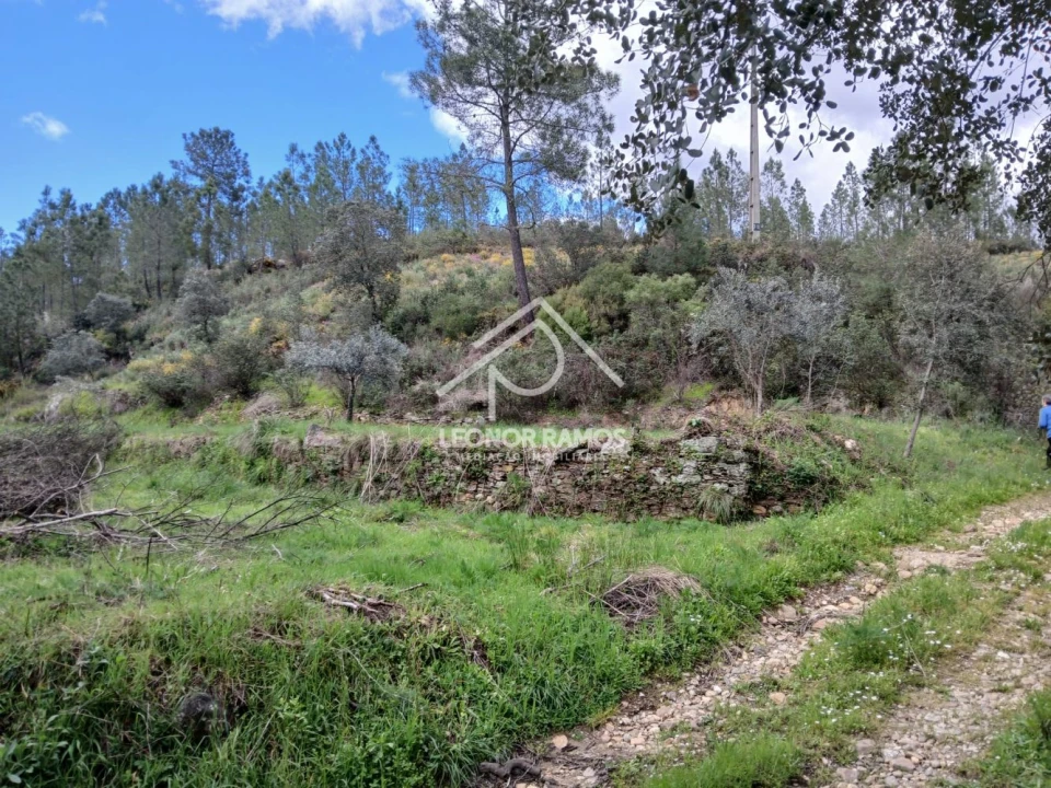 Terreno para Venda em Sarzedas Foto 8