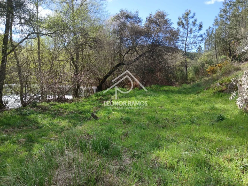 Terreno para Venda em Sarzedas Foto 12