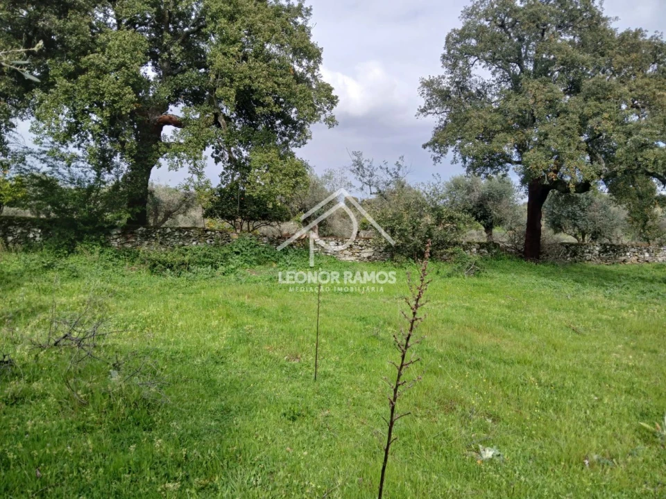 Terreno para Venda em Idanha-A-Nova e Alcafozes Foto 5