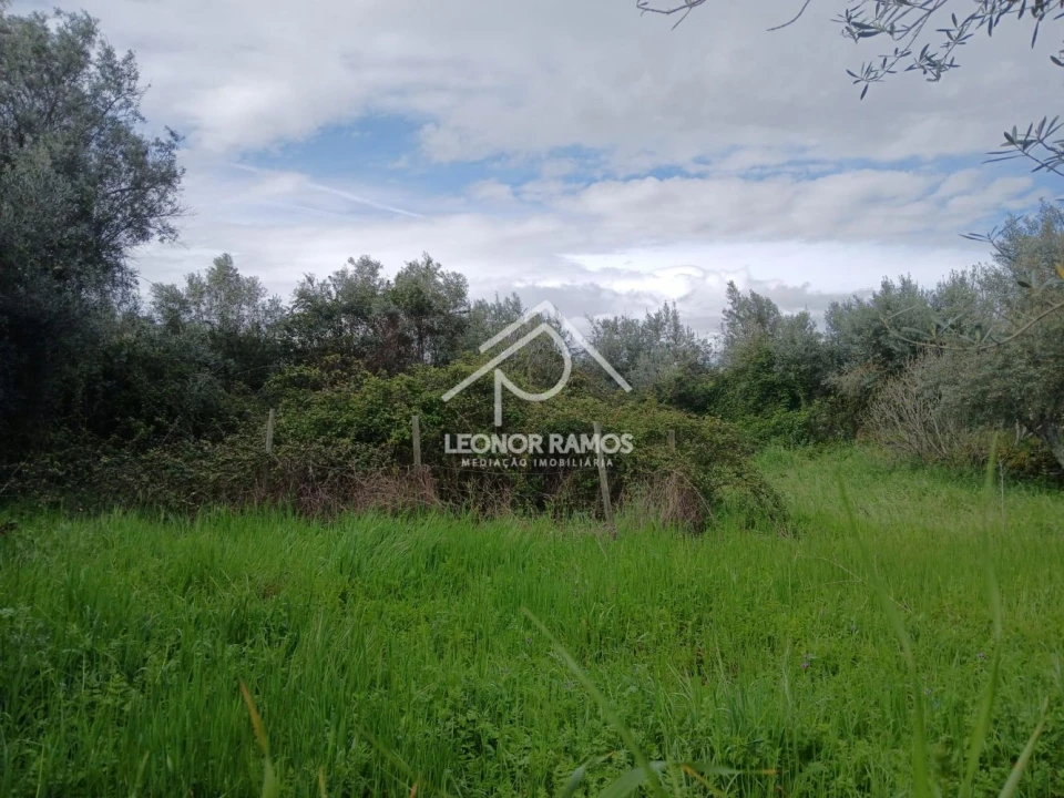 Terreno para Venda em Idanha-A-Nova e Alcafozes Foto 9