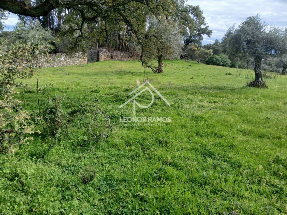 Terreno para Venda em Idanha-A-Nova e Alcafozes Foto 4