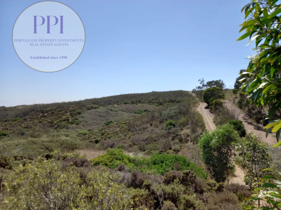 Terreno para Venda em Vila do Bispo e Raposeira Foto 32