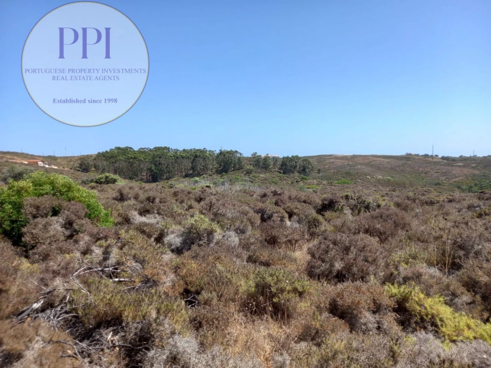 Terreno para Venda em Vila do Bispo e Raposeira Foto 11