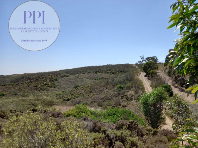 Terreno para Venda em Vila do Bispo e Raposeira Foto 32