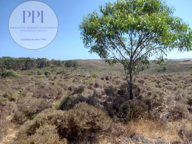 Terreno para Venda em Vila do Bispo e Raposeira Foto 6