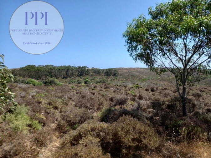 Terreno para Venda em Vila do Bispo e Raposeira Foto 9