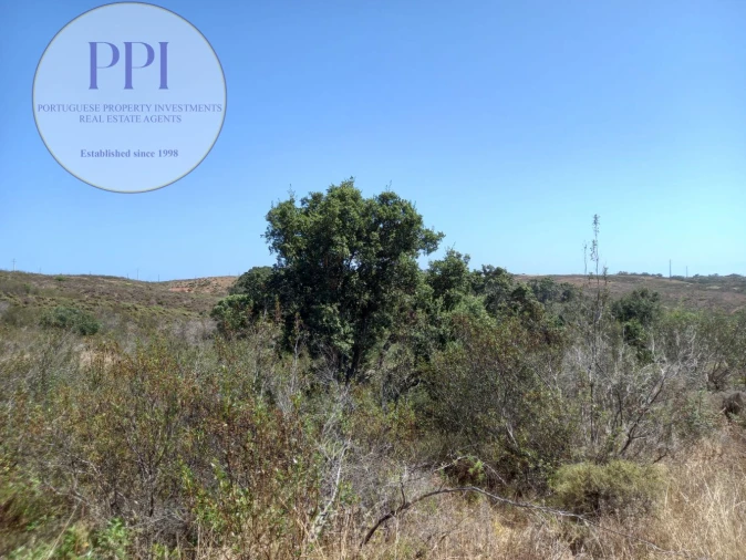 Terreno para Venda em Vila do Bispo e Raposeira Foto 3