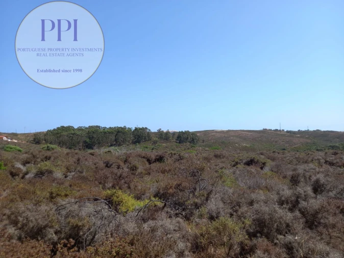 Terreno para Venda em Vila do Bispo e Raposeira Foto 18