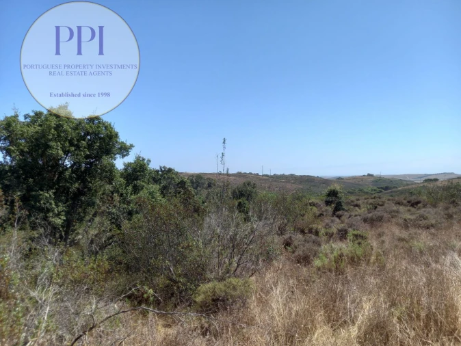 Terreno para Venda em Vila do Bispo e Raposeira Foto 5