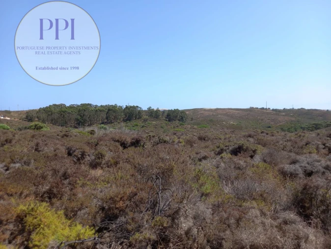 Terreno para Venda em Vila do Bispo e Raposeira Foto 23