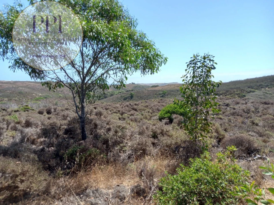 Terreno para Venda em Vila do Bispo e Raposeira Foto 7