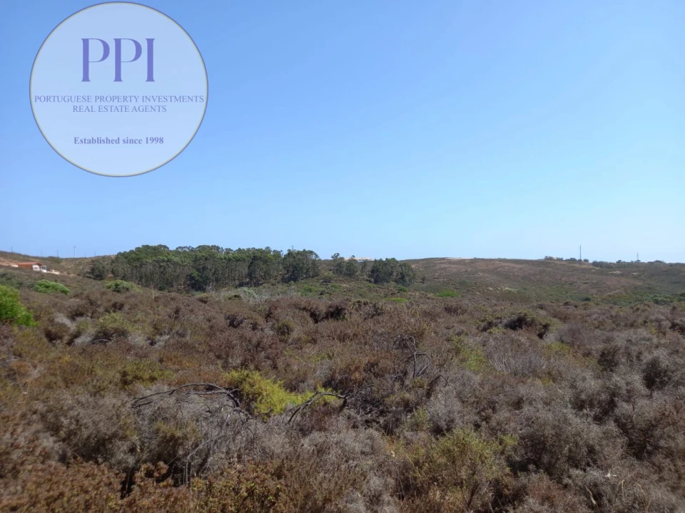Terreno para Venda em Vila do Bispo e Raposeira Foto 17