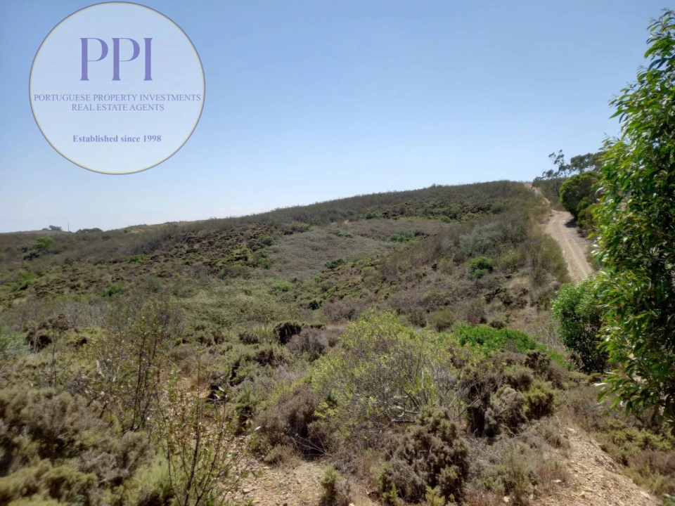 Terreno para Venda em Vila do Bispo e Raposeira Foto 27