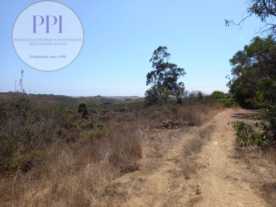 Terreno para Venda em Vila do Bispo e Raposeira Foto 2