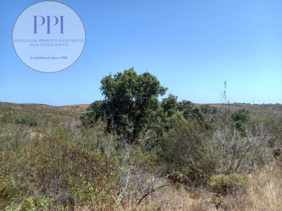Terreno para Venda em Vila do Bispo e Raposeira Foto 3
