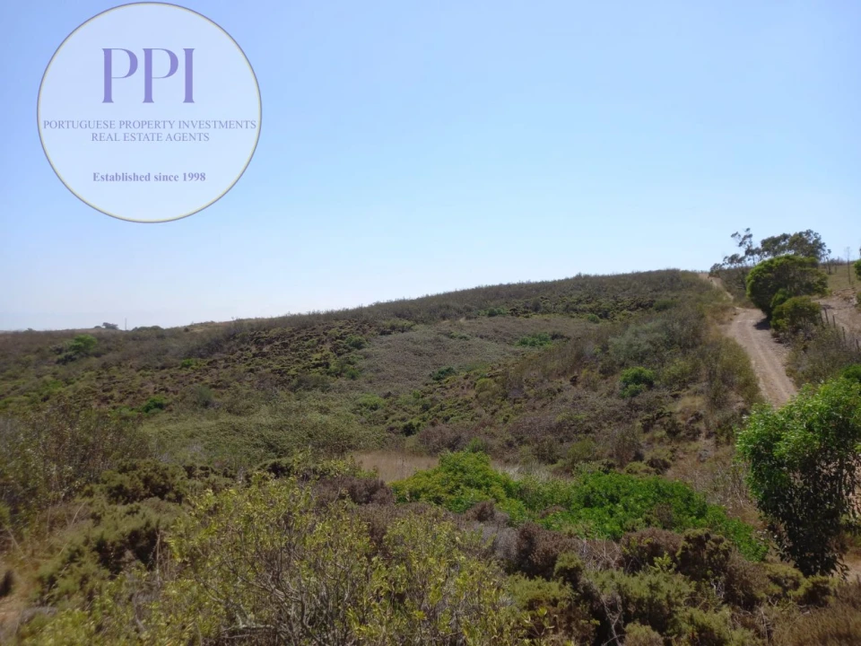 Terreno para Venda em Vila do Bispo e Raposeira Foto 33