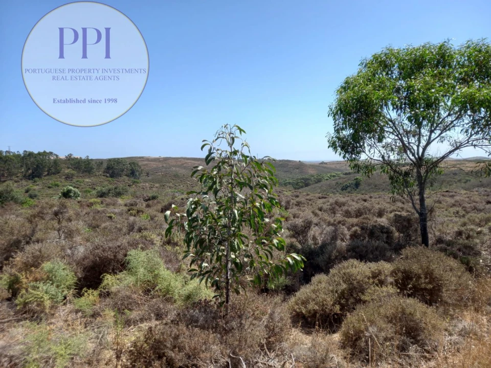 Terreno para Venda em Vila do Bispo e Raposeira Foto 8