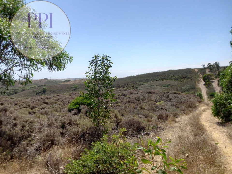 Terreno para Venda em Vila do Bispo e Raposeira Foto 1