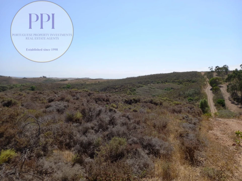 Terreno para Venda em Vila do Bispo e Raposeira Foto 16