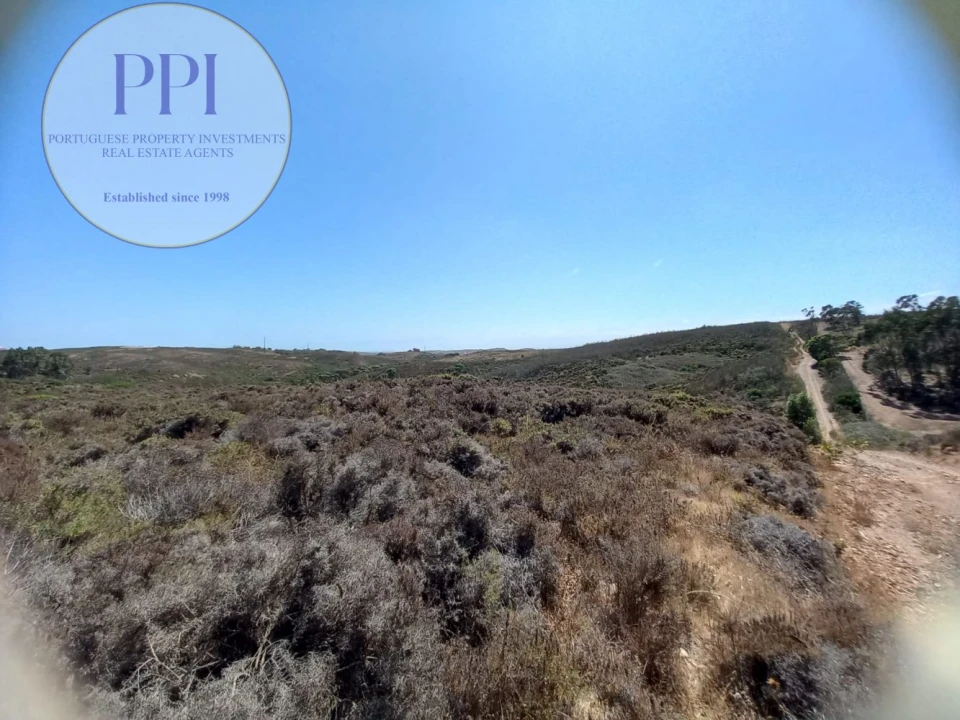 Terreno para Venda em Vila do Bispo e Raposeira Foto 21