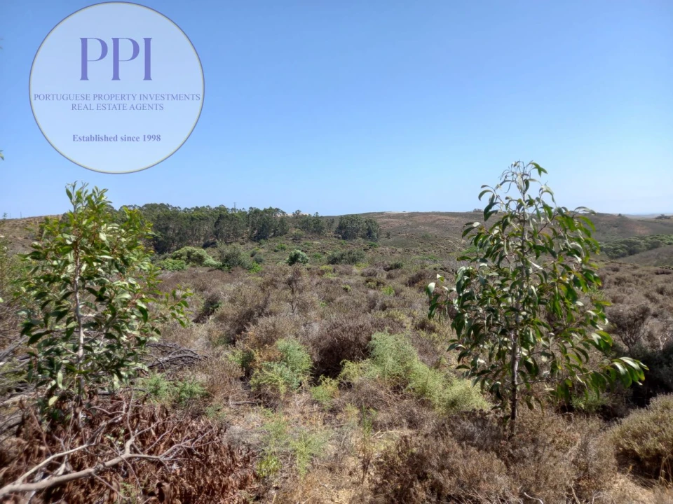 Terreno para Venda em Vila do Bispo e Raposeira Foto 4